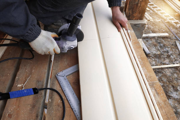 Best Stone Veneer Siding  in Dundee, FL